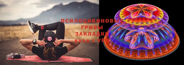 спиды Верея