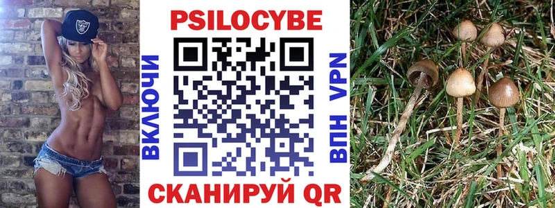 что такое наркотик  omg вход  Галлюциногенные грибы MAGIC MUSHROOMS  Вышний Волочёк 